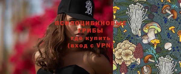 apvp Михайловск