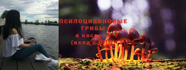 кокаин перу Михайлов