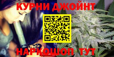 МДПВ Гай