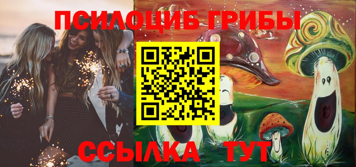 Чита  Галлюциногенные грибы Magic Shrooms  Псилоцибиновые грибы MAGIC MUSHROOMS  Вход с VPN 