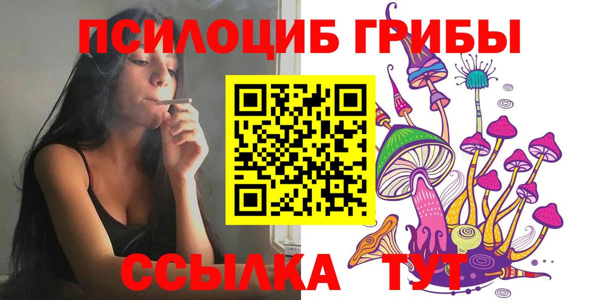 Псилоцибиновые грибы Cubensis Чита